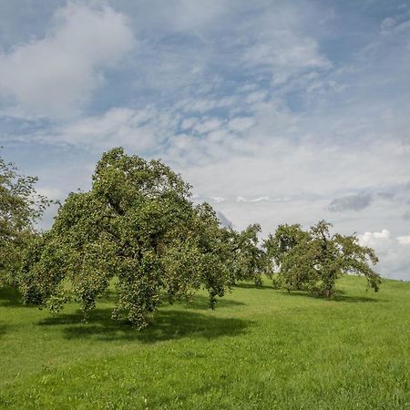 Casa Rindler Lägenhet Sigmarszell Exteriör bild